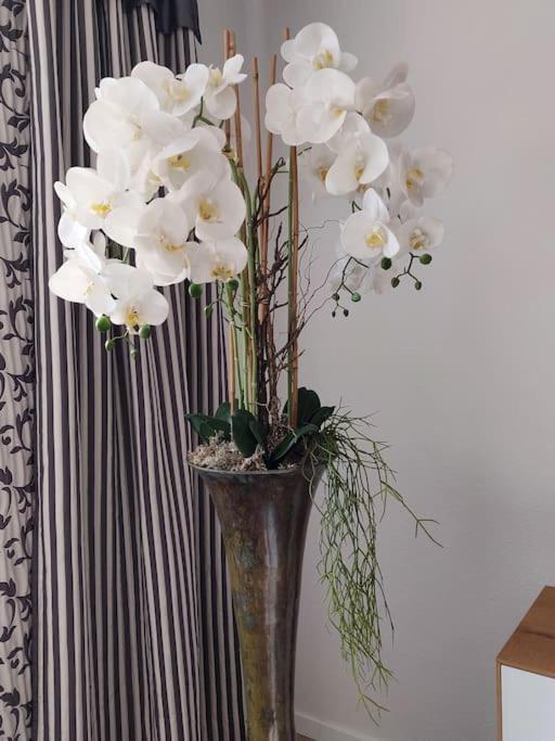 Apartment Blumenraum - In Karlsruhe